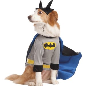 Disfraz Batman mascota