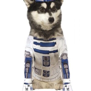 Disfraz R2-D2 mascota