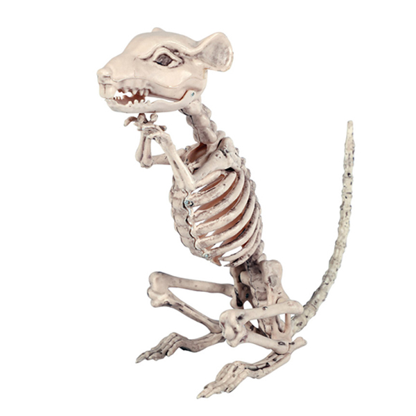 Skeleton mouse - Menkes