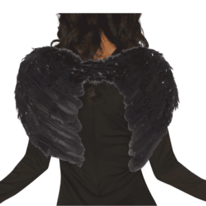 Alas de plumas negras