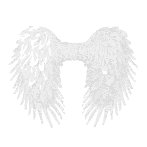 Alas pluma blanca