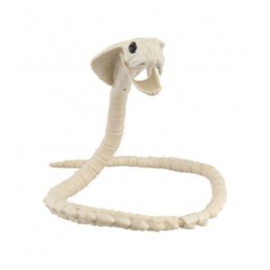 Esqueleto de serpiente