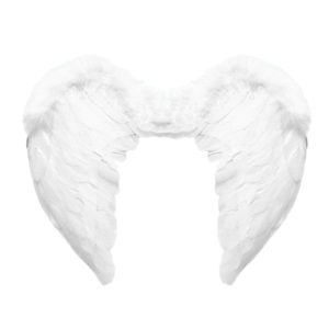 Alas de plumas blancas
