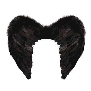 Alas de plumas negras