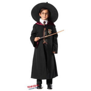 Disfraz de Mago Harry Potter