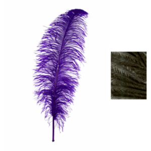 Pluma de Avestruz