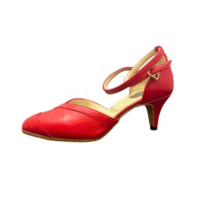 Zapato de Salón Raquel