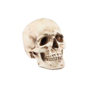 Calavera decorativa