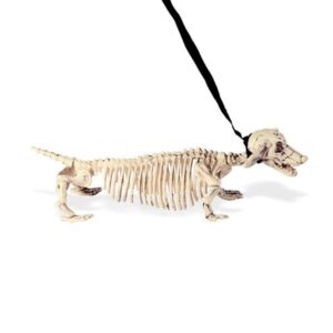 Esqueleto de perro con correa