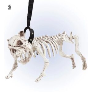 Esqueleto perro con correa