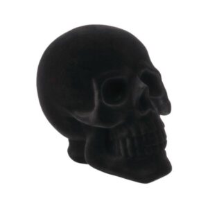 Calavera terciopelo negro